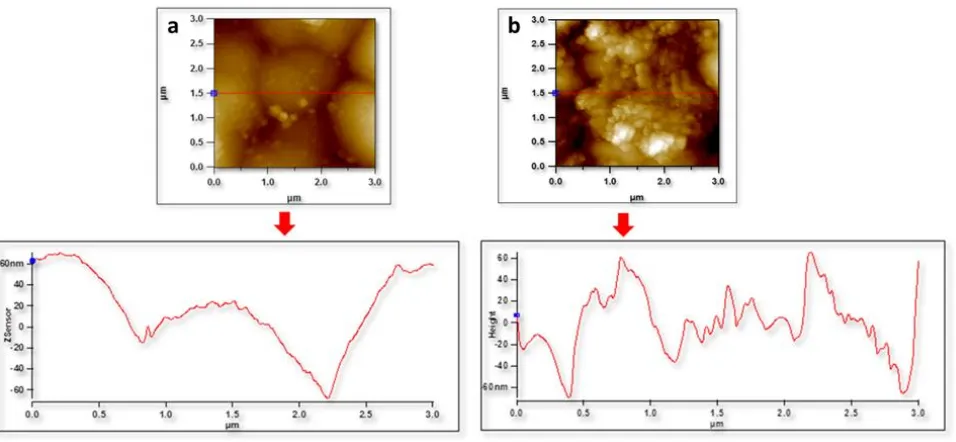 Figure 6. AFM images and surface line profiles of coatings in their as deposited state (a) Ni-B coatings (b) Ni-B-ZrO2-Al2O3 nanocomposite coatings