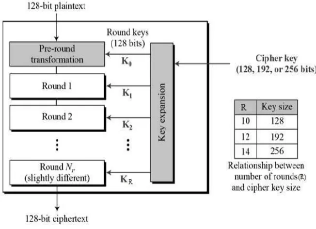 Figure 2 depicts the schematic of AES structure 