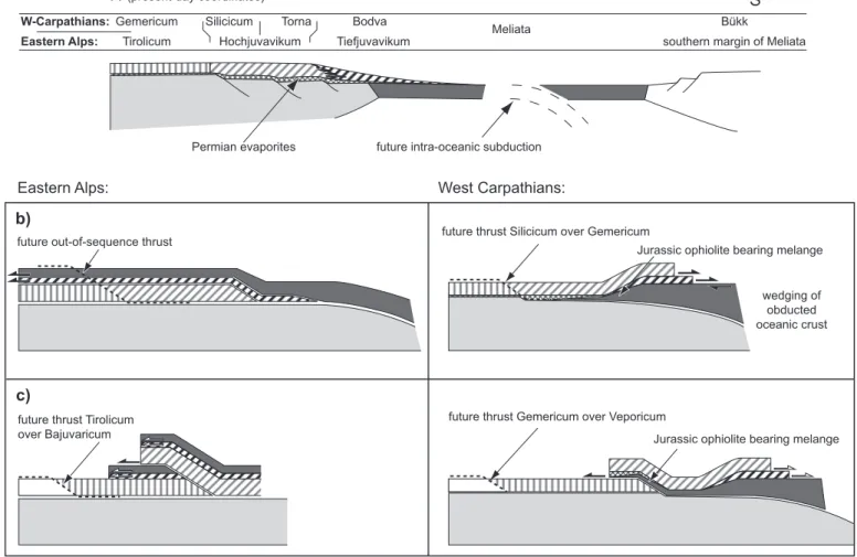 Fig. 4.  Conceptual model for Late Jurassic and Cretaceous thrusting affecting the former passive continental margin adjacent to the Meliata Ocean in the  Eastern Alps (Northern Calcareous Alps) and in the West Carpathians