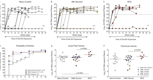 FIG 7 Challenge outcome using a repeated low-dose oral SIV exposure model. (A) Plasma viremia of naive controls (group C2) after weekly low-dose oraldiamonds)