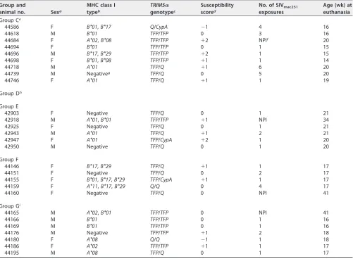 TABLE 1 MHC class I and TRIM5� genotypes