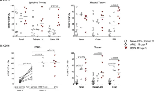 FIG 8 Myeloid cell activation in blood and tissue samples from vaccinated and SIV-infected infants