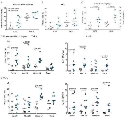 FIG 1 Increased functional responsiveness of monocytes/macrophages and mDC. (A and B) Frequencies of IL-12- or TNF-CD69and mDC, respectively, in PBMC from naive controls and A�-producing monocytes/macrophagesMtb-vaccinated infant macaques at 16 to 18 weeks