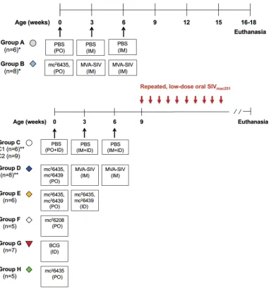FIG 3 SIV challenge study outline. The ﬁgure shows the times of immunization (indicated by black arrows), the time of oralSIV exposures (red arrows), and lists the vaccine regimens for each of the groups