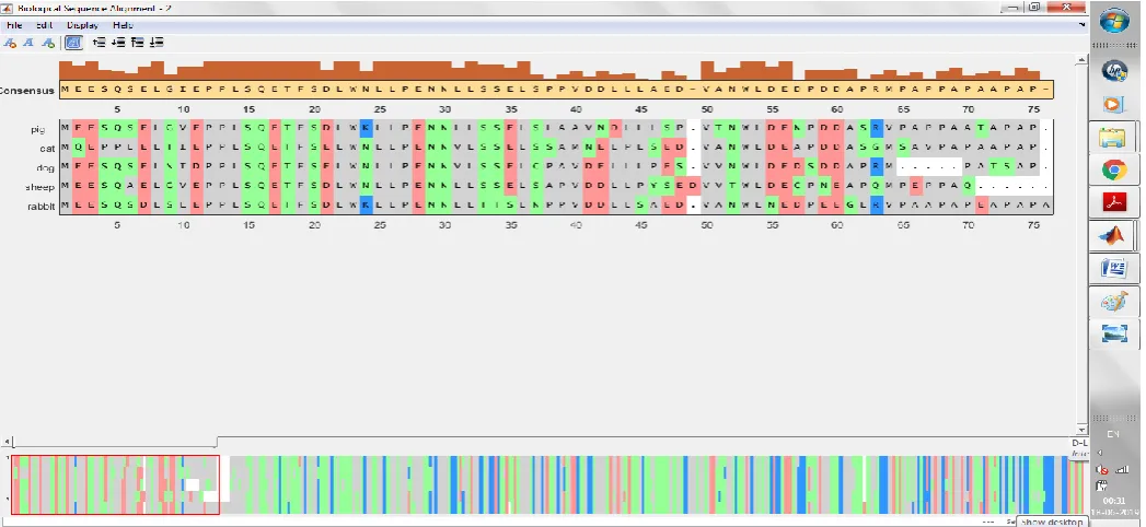 Figure 4: Phylogenetic tree of first five species 