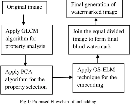 Fig 2: Proposed Flowchart for extraction 