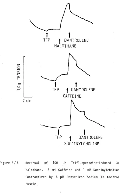 Figure 2.16 
