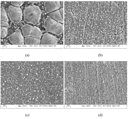 Figure 4.  Effect of Na4P2O7 on the surface SEM morphology of phosphate conversion coatings on the magnesium alloys surface: (a) 0 g/L, (b) 0.2 g/L, (c) 0.5 g/L and (d) 1.0 g/L
