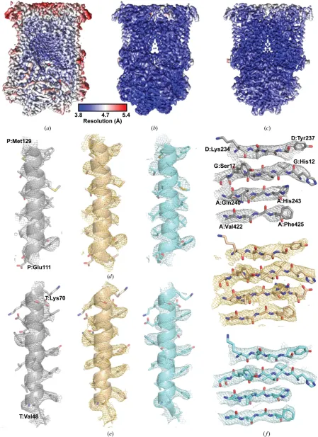 Figure 2