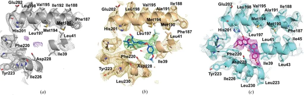 Figure 3Analysis of the Qi site in the three different cryo-EM maps with the density contoured at 3�