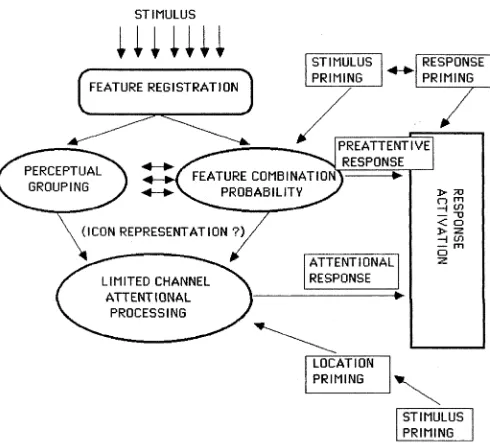 FIGURE 4.1 Guiding m odel fo r  in fo rm a tio n  processing in  the presen t w ork.