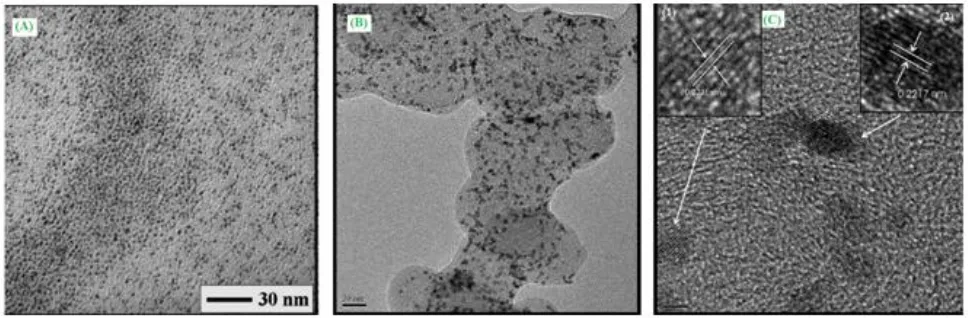 Figure 7. (A) TEM for a sample of as-synthesized Pt25Ir20Co55 nanoparticles (2.2 ± 0.2 nm)