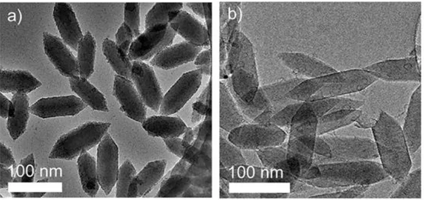 Figure 1.  Shows (a and b) TEM images of nanoscale MIL-88B-NH3 and CNPs. ("Reprinted with permission from (ACS Nano 8 (2014) 12660-12668)
