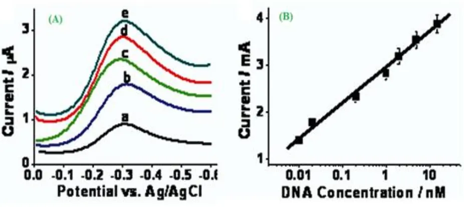 Figure 4. The target DNA concentration shown in the (A) was 0 (a), 0.04 nM (b), 0.2 nM (c), 1 nM (d), and 2 nM (e), separately