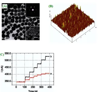 Figure 6.  Typical TEM (A) image of gold nanooctahedra. (B) Typical tapping mode AFM height image of GOx immobilized on a Au nanooctahedra surface