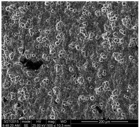 Figure 11. SEM of the steel after removing the corrosion products 