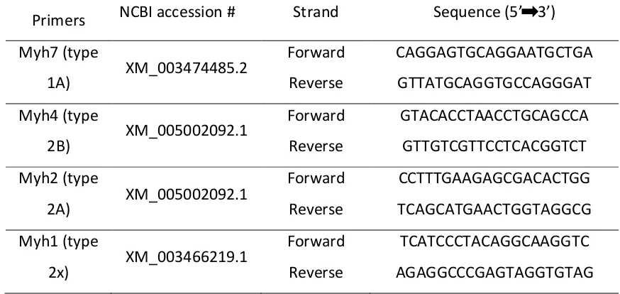 Table 2.4-1 Guinea Pig Myosin Heavy Chain primer pairs. 