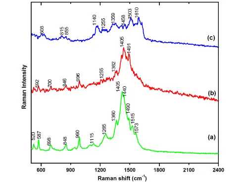 Figure 3. Raman spectra of (a) PEDOT, (b) copolymer (PEDOT/ PANI)and (c) (PANI). Growth conditions: PEDOT and PANI is electropolymerized potentiostatically at 1.0 V on ITO containing 10 mM monomer/0.1 M LiClO4
