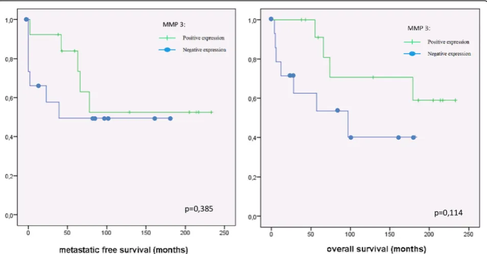 Fig. 4 Kaplan-Meier analysis of the expression of MMP-3 (dash: positive expression; spot: negative expression) and metastatic free survivalrespectively of overall survival in chondrosarcoma