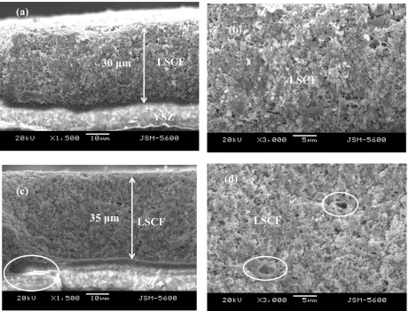 Figure 6.  (a) Cross-section of post-firing OEIH with oxygen electrode - LSCF (oxygen electrode/electrolyte, 1,500×); (b) Cross-section of post-firing OEIH with oxygen electrode - LSCF (oxygen electrode, 3,000×); (c) Cross-section of OEIH with oxygen electrode - LSCF after ten SOFC/SOEC cycling operation (oxygen electrode/electrolyte, 1,500×) ; (d) Cross-section of OEIH with oxygen electrode - LSCF after ten SOFC/SOEC cycling operation (oxygen electrode, 3,000×) 
