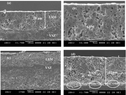 Figure 7.  (a) Side view of post-sintering OEIH with oxygen electrode - LSM (oxygen electrode/electrolyte, 1,700×); (b) Side view of post-sintering OEIH with oxygen electrode - LSM (oxygen electrode, 3,300×); (c) Side view of OEIH with oxygen electrode - LSM after ten SOEC/SOFC cycling operation (oxygen electrode/electrolyte/hydrogen electrode, 700×) ; (d) Side view of OEIH with oxygen electrode - LSM after ten SOFC/SOEC cycling operation (oxygen electrode/electrolyte, 1,700×) 