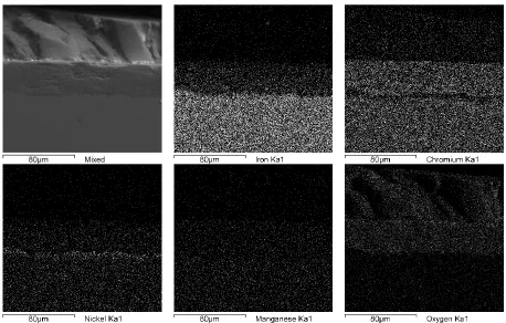 Figure 1 presents a micrograph and mappings of Fe, Cr, Ni, Mn, O, V and Na of the substrate-