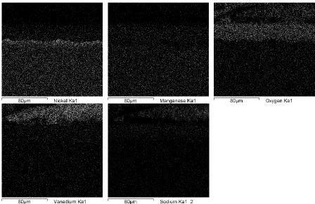 Figure 2. Image of the metal-corrosion products interface and X-ray mappings of Fe, Cr, Ni, Mn, O, V and Na of AISI-310 exposed to NaVO3 at 700°C during 100 h from Lp technique