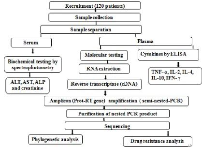 Figure 3.2: Schematic representation of the study design 