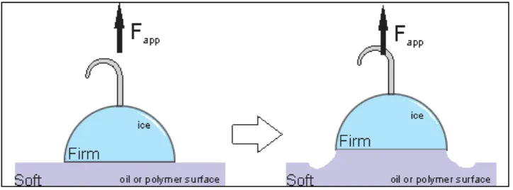 Figure 1.5: Depiction of interfacial cavitation. A force Fapp applied to two 