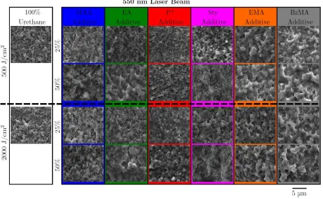 Figure 3.4: Scanning electron micrographs of the microstructures induced on the surface of 