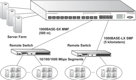 Figure 2-3  Remote Connection with Fiber CableServer Farm