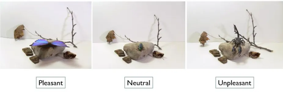 Figure 1. Examples of a pleasant, neutral, and unpleasant 2D stimuli in one stimulus subset