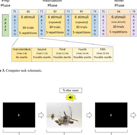 Figure 3. Computer task schematic. 