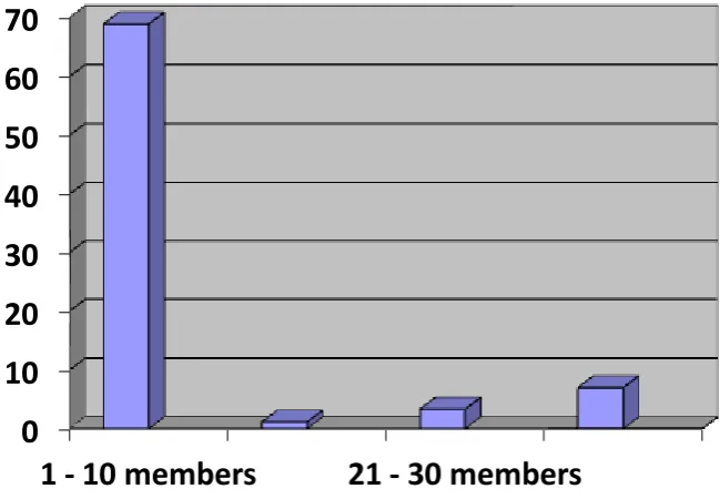 Figure 4.2 Virtual Team Members 