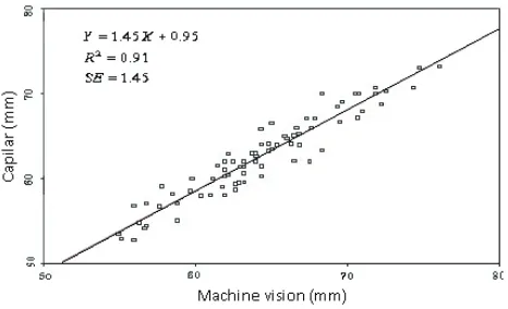 Fig. 4. Height measurement with the capilar and by means ofmachine�vision.