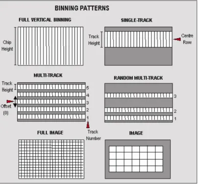 Figure 1 shows the binning patterns : 