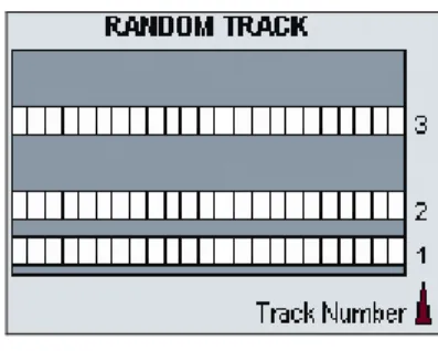 Figure 5: Random-Track 