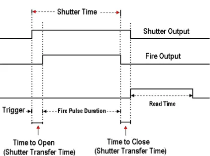 Figure 9: Timing diagram for shutter and fire pulses in internal trigger mode 