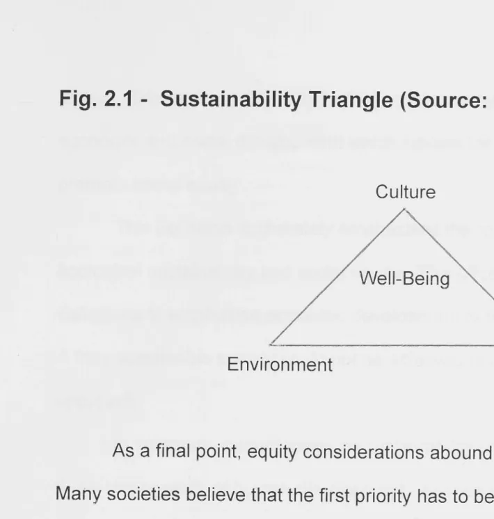 Fig. 2.1 - Sustainability Triangle (Source: Moomaw 1996: 476) 