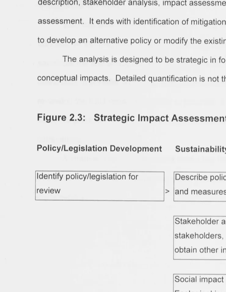 Figure 2.3: Strategic Impact Assessment 