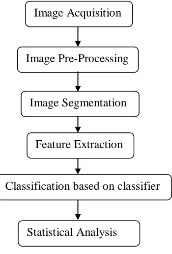 Figure 1: Digital Image processing 