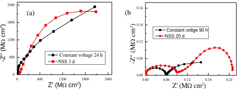 Figure 8. Comparison of Nyquist plots between constant voltage and NSS test. (a) Initial period; (b) red rust period  