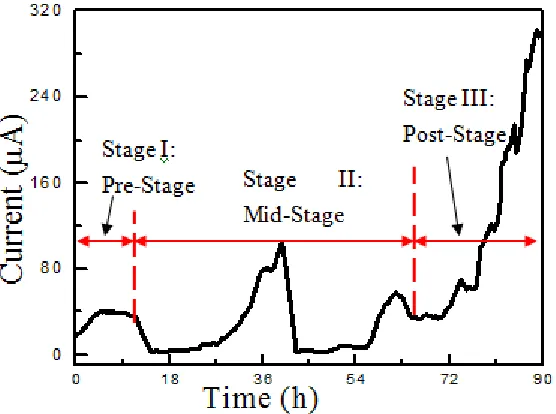 Figure 1.  Analysis of “red rust” after constant voltage [(a), (b) (c) and (d)] and NSS test [(e), (f), (g) and (h)]