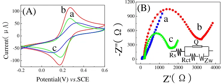 Figure 4.       CVs (A) and EIS (B) of the GCE (a), GCE│Nf (b) and GCE│GS@Mn3O4/Nf (c) electrodes in 0.1 M KCl solution containing 5.0 mM K3[Fe(CN)6] and 10.0 mM [Fe(CN)6]3-/4-(1:1)