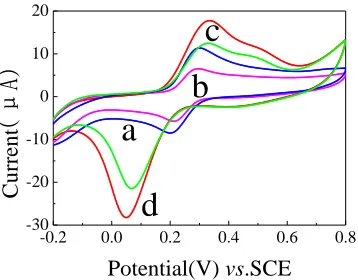 Figure 5.   CVs of the GCE (a), GCE│Nf (b) and GCE│GS@Mn3O4/Nf (c) electrodes in 0.1 M PBS containing 0.1 mM DA and GCE│GS@MnO/Nf electrode in 0.1 M PBS containing 0.2 mM 