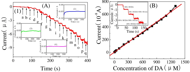 Figure 6.  (A) Typical i-t response of the GCE│GS@Mn3O4/Nf (1), GCE│Nf (2) and GCE (3) electrodes upon successive addition of various concentrations of DA: (a) 1.0, (b) 4.0, (c) 15.0, (d) 20.0, (e) 60.0, (f)-(q)100.0 μM and (1) electrode upon successive in