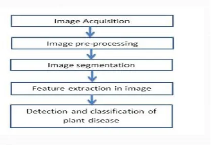 Fig. 1 Framework of the proposed system 