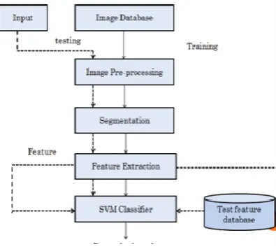 Fig. 4: Enhancing the contrast of image 
