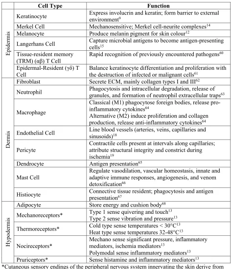Table 1. A summary of cutaneous cell types within the epidermis, dermis, and hypodermis
