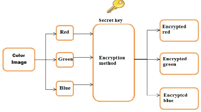 Figure (6): Encrypting each color of the color image. 